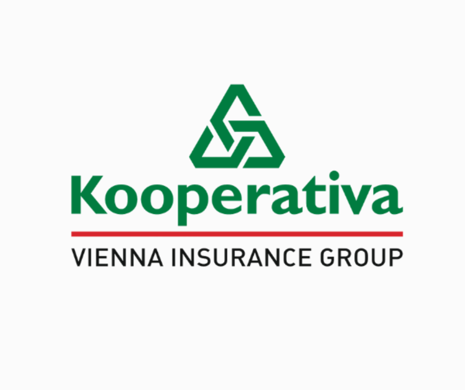Platinový partner